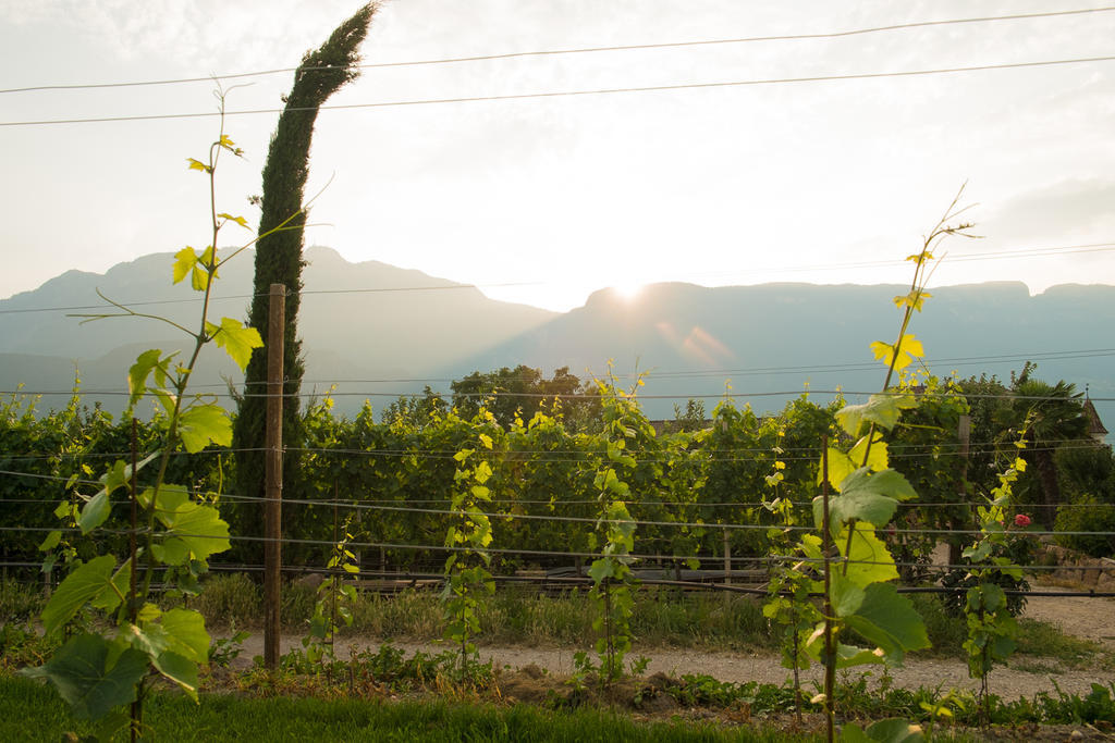 Ferienwohnung Pippohof Appiano Sulla Strada Del Vino Habitación foto